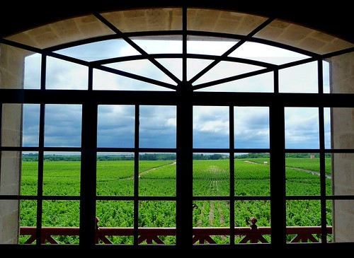Window View of Vineyards at Chateau Pontet-Canet | Took this… | Flickr