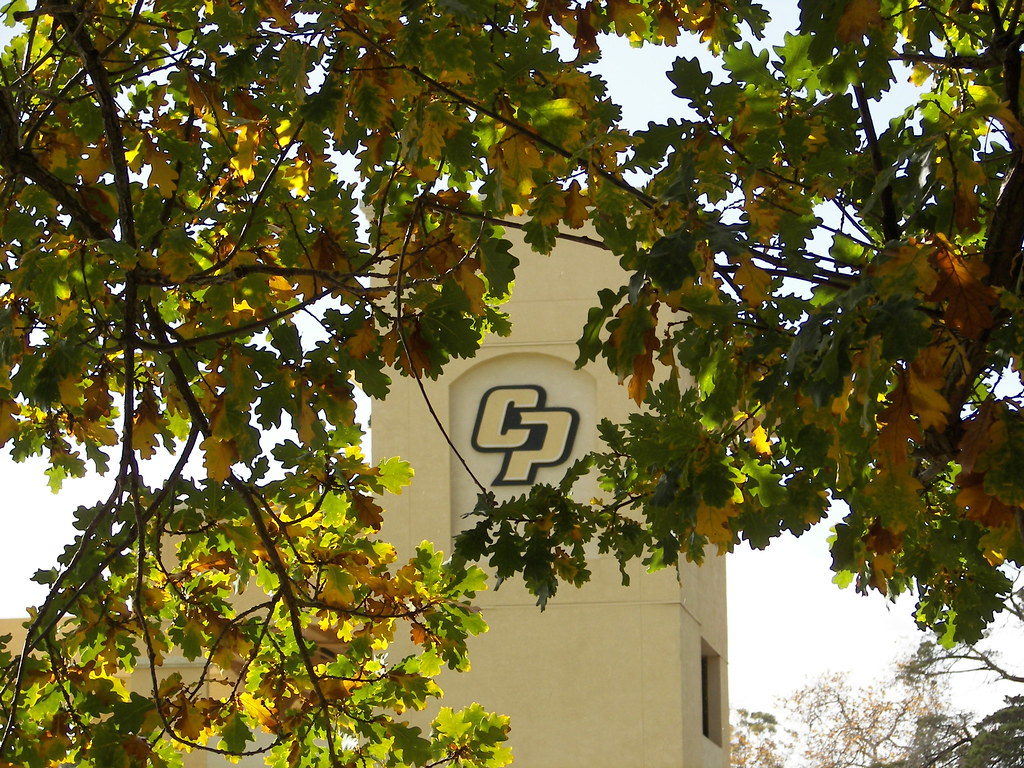 Cal Poly logo seen through Winter leaves