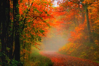 The Spirit of the Season | On a cloudy misty day fall colors… | Flickr