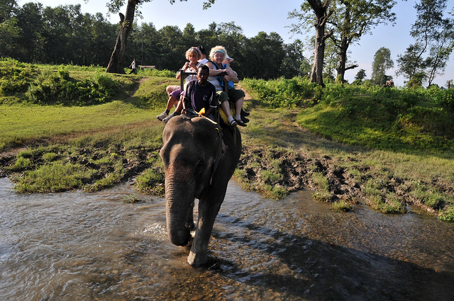 Elefantensafari Chitwan