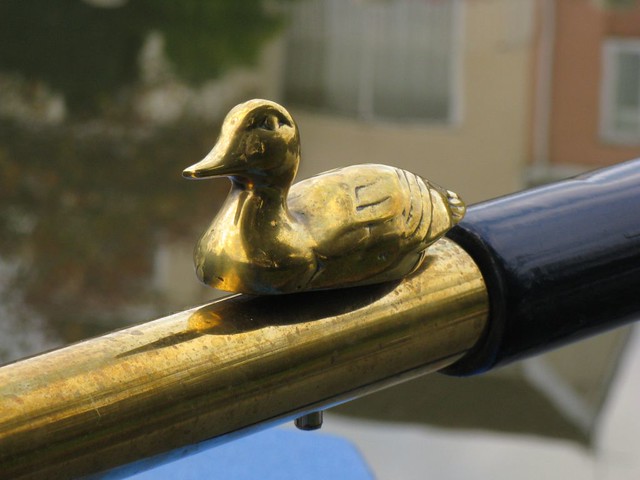 Duck detail