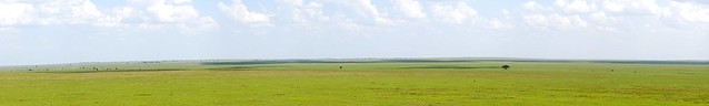 Endless plains of the Serengeti