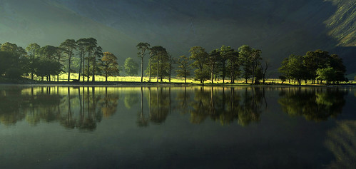 The Buttermere Pines by Doctor Syntax