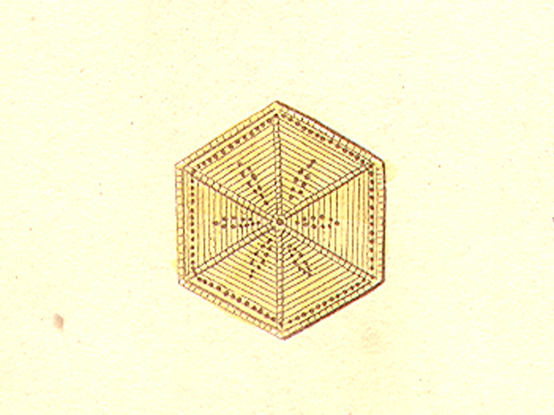 An intricate woven item from the rare illustration of the Northern Mariana Islands: Various Objects used by Ancient Inhabitants by Bèvalet from Freycinet's Voyage Autour de Monde (Paris, 1824).

Bèvalet/Guam Public Library System
