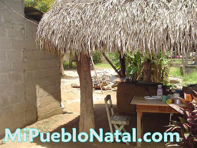 Mi pueblo natal - Tocoa - Mi Champita de manaca