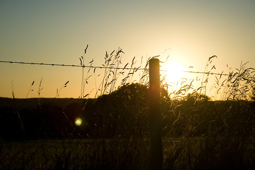 Coucher de soleil / IMG_3468 by flablog, sunset sun soleil coucher mans campagne blé sarthe pruilléléguillé