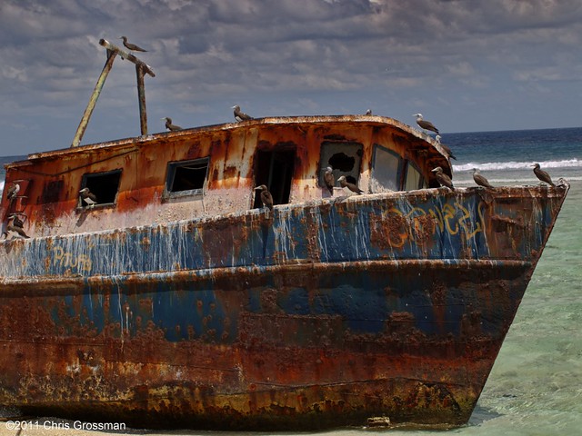 Shipwreck on Clipperton Island - Olympus E-520 - 40-150mm