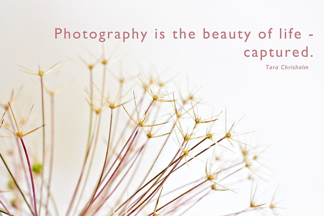 Photography is the beauty of life - captured