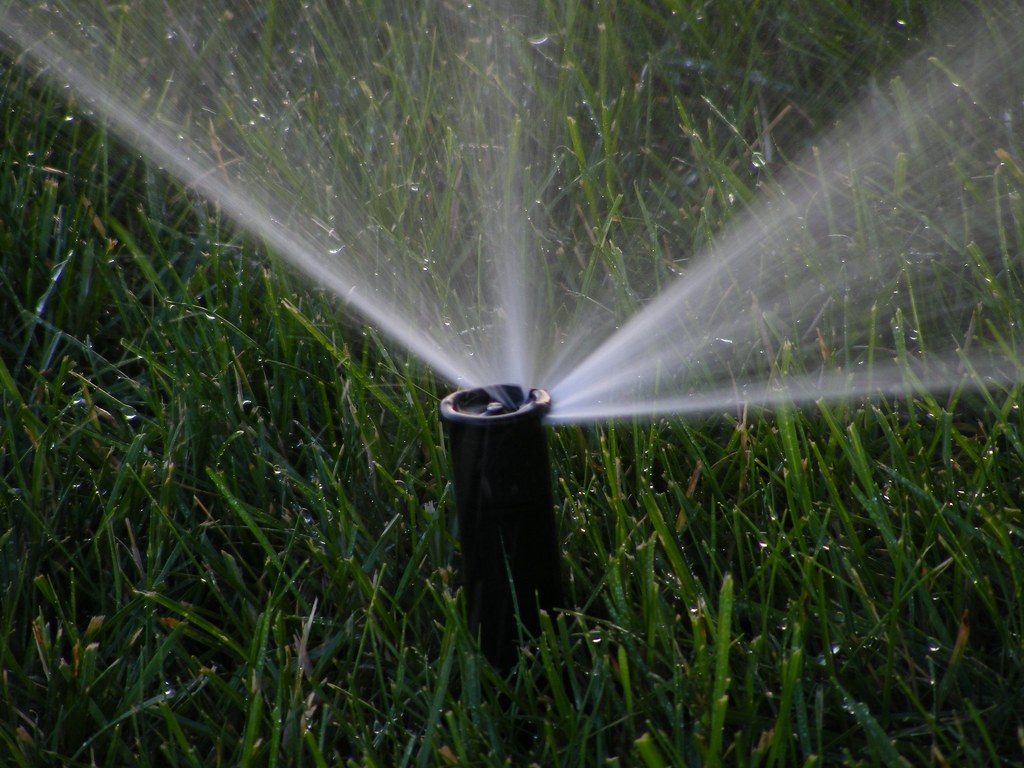 A sprinkler watering cut grass in the summer