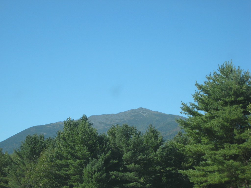 Stony Brook
