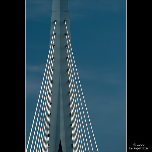 Erasmus Bridge or "The Swan" - Rotterdam, The Netherlands by Papafrezzo, 2007-2016 by www.papafrezzo.com