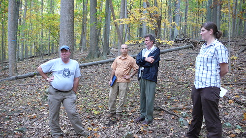 Wed, 10/15/2008 - 22:14 - 25-ha plot. L-R: Bill McShea and Norm Bourg (Plot Leaders), John Kress (SI-NMNH) and Shawna Behling (Research Assistant).
Credit: CTFS.