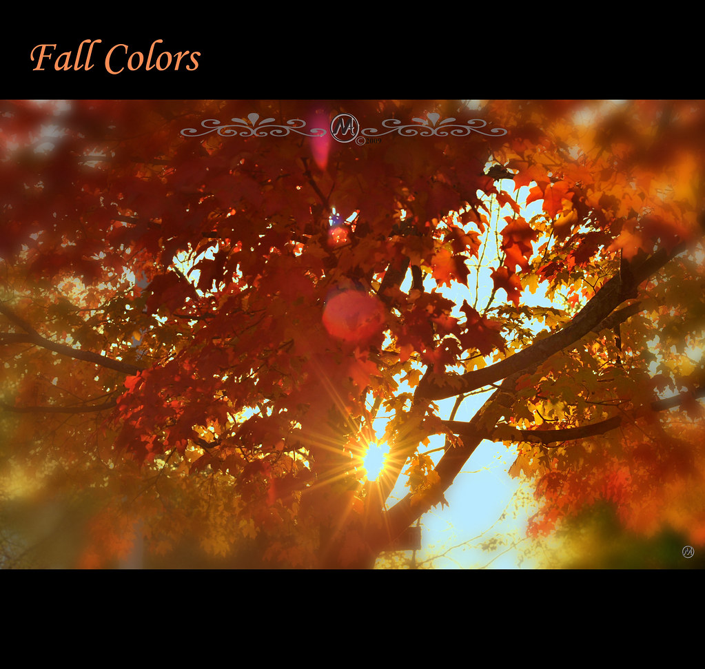Fall Season 09 by proamateur85
