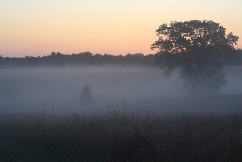 morning trees mist grass fog sunrise landscape dawn virginia early va manassas battlefield manassasva