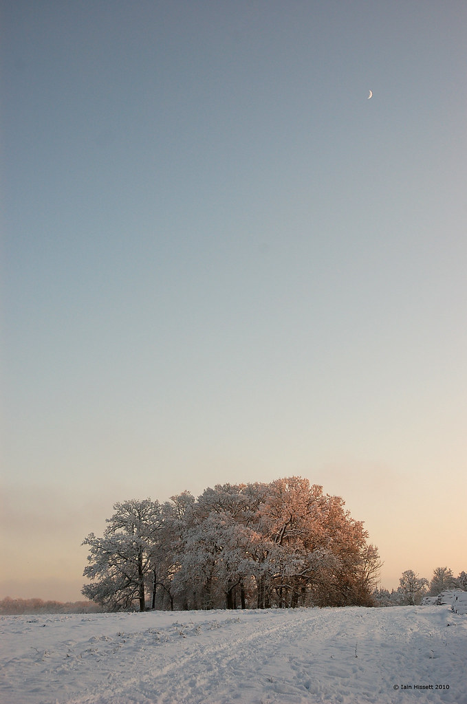 Snow in Sulham_10 | iainhissett | Flickr