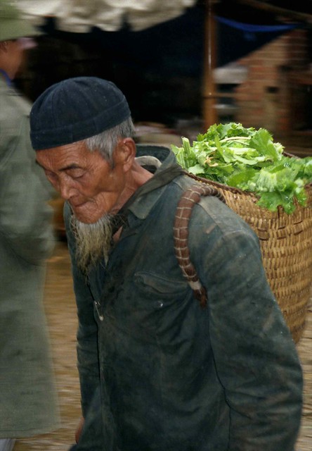 Man with basket full of lettuce; SaPa, Vietnam