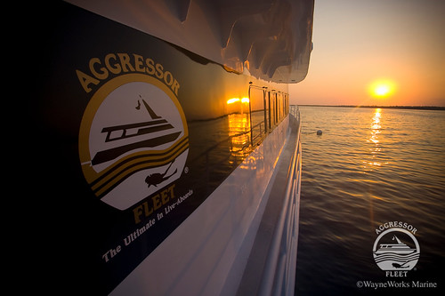 Cayman Aggressor IV