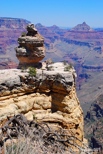 The South Rim of the Grand Canyon in Arizona by Melbie Toast