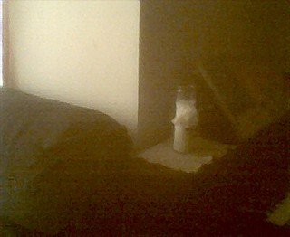 05Oct09003 | by swanfleet