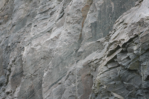 Rock Textures, Canadian Shield, Doe Lake, Katrine, Muskoka… | Flickr