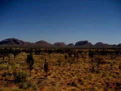 Uluru and around 64 - The Olgas