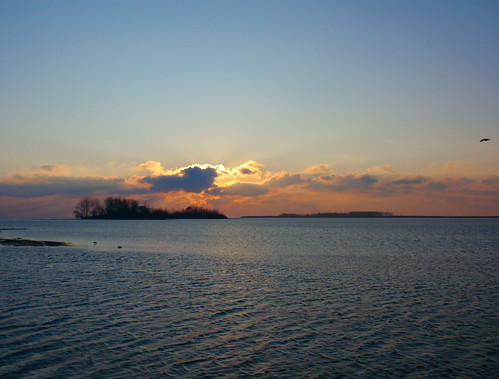sun lake water birds clouds sunrise michigan erie