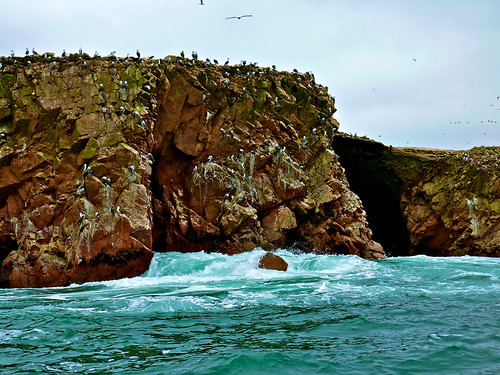 Ballestas Islands