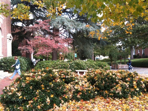 Fall Day At Greensboro College
