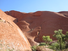 Uluru and around 17