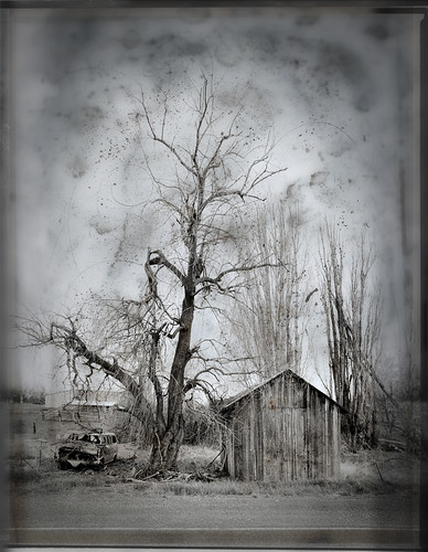 The Saddest Little Town in Oregon by Arbor Lux