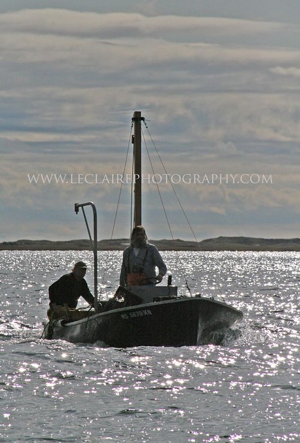 Chatham Bay Scallopers -  Christopher D. LeClaire photo, 2009