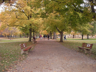 Kenyon College, Middle Path, Fall 2009, 02