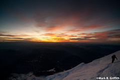 Rainier Dawn