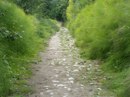 Horsetail path Borough Green to Sevenoaks