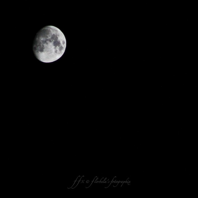 Moon Light in Northern Sky 8x10. FFX © Florbela's Fotographix.IMG_7185-3