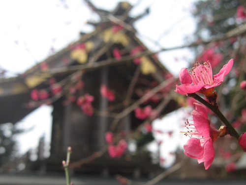 MITAKE 3 | by i_love_japan_29