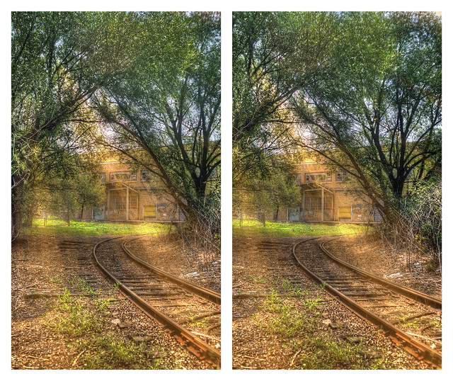 Sunlight on the Rails