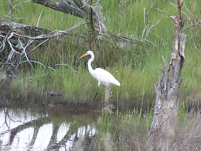 First Landing State Park