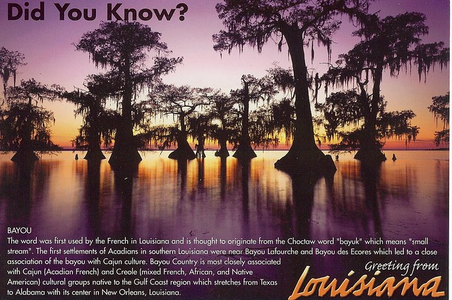 Didi You Know? Bayou