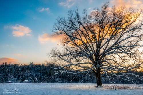 cadescove danlawsonplace greatsmokymountains tennessee thetree cabin cold landscape nationalpark nature outdoors scenery snow sunset winter