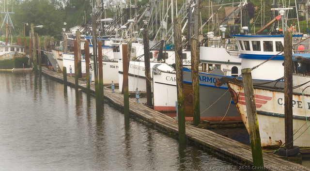 Fishing Vessels at Harbor #4