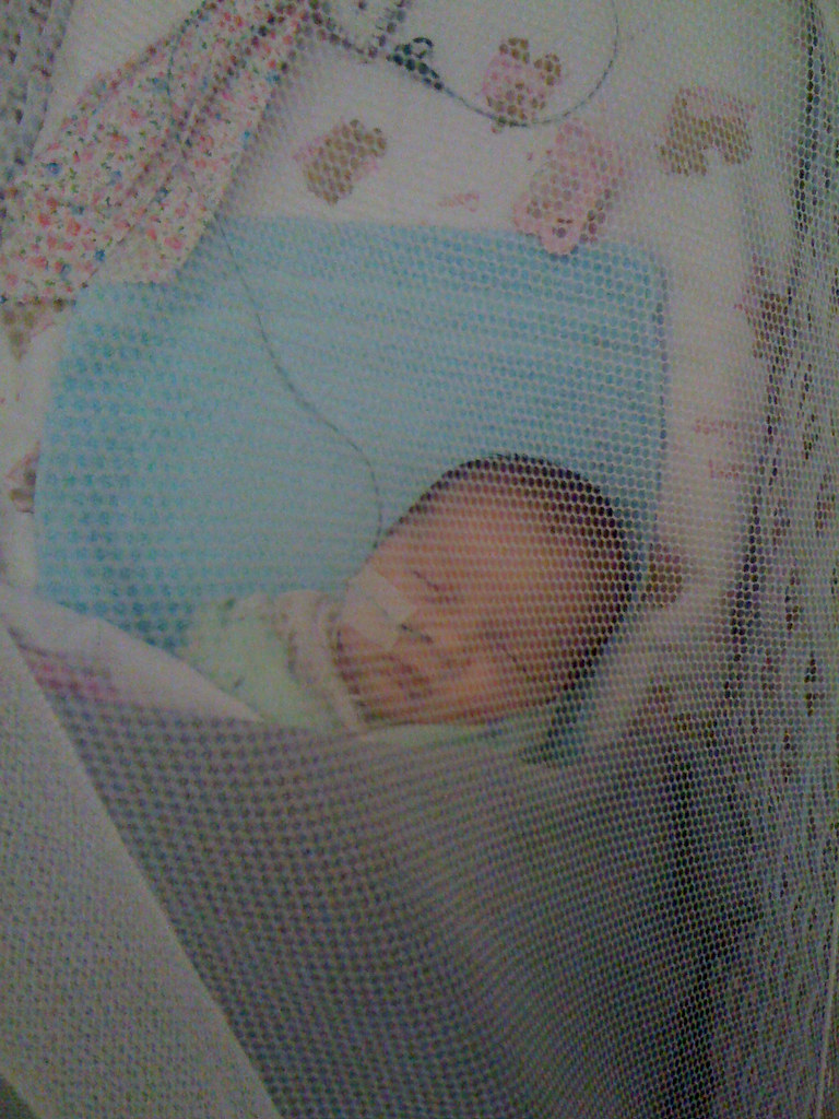 Asleep behind the net
