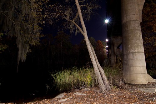 longexposure bridge trees tree sc night lights conway southcarolina tokinaatx116prodx