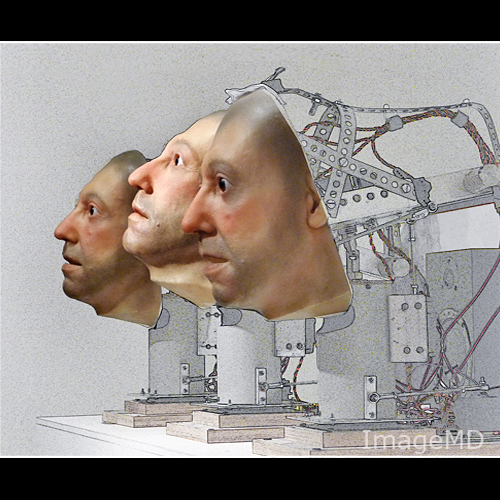 Animatronic Heads