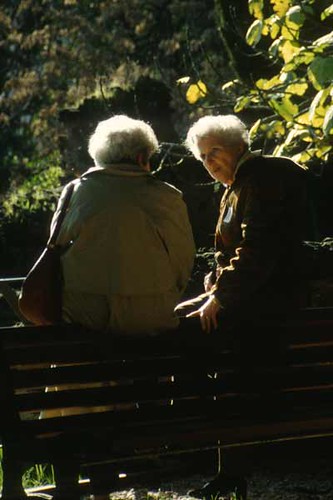 Older women talking in park, late afternoon