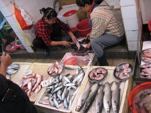 Preparing the fish
