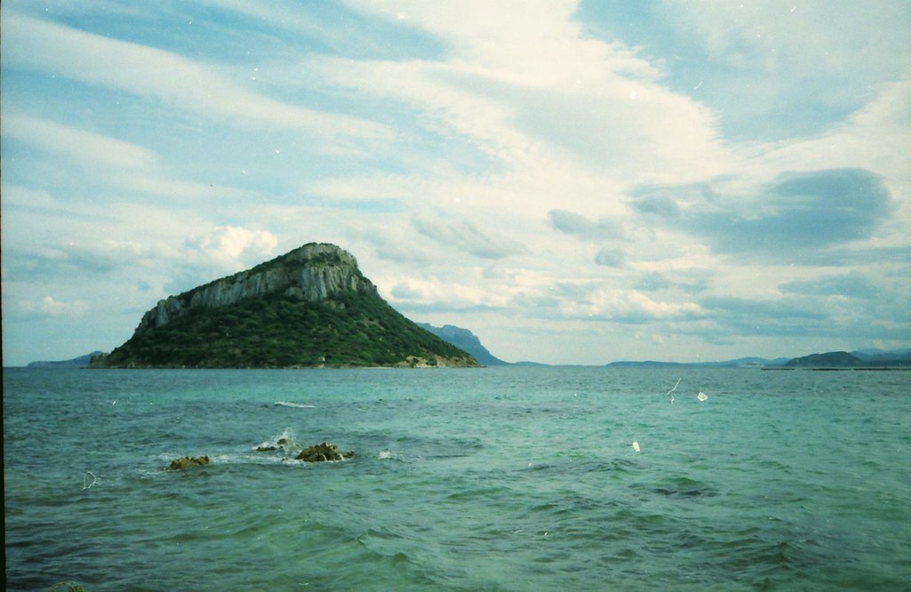 Figarolo (l'isola del tesolo) | A volte un tesoro può anche … | Flickr
