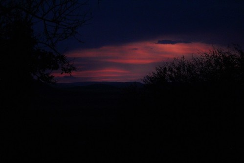 sunset sunsets sky skyline red orange evening africa tanzania serengeti nationalpark park parks landscape silhouette