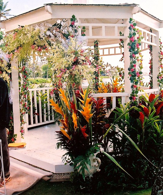 Wedding Gazebo at Kahala Hotel as Set Decorator for LOST  Rick Romer
