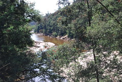 Ringarooma River